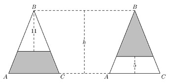 2023_que_24